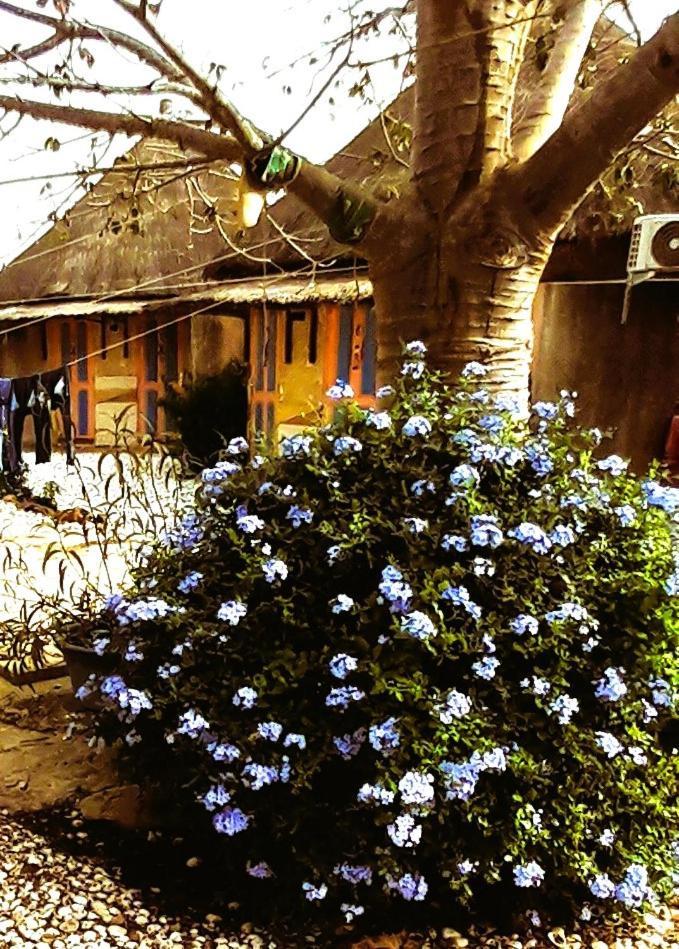 Hotel Le Chamama Niaga Esterno foto